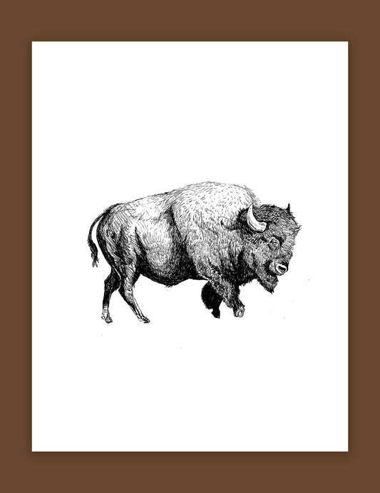 Bison Print