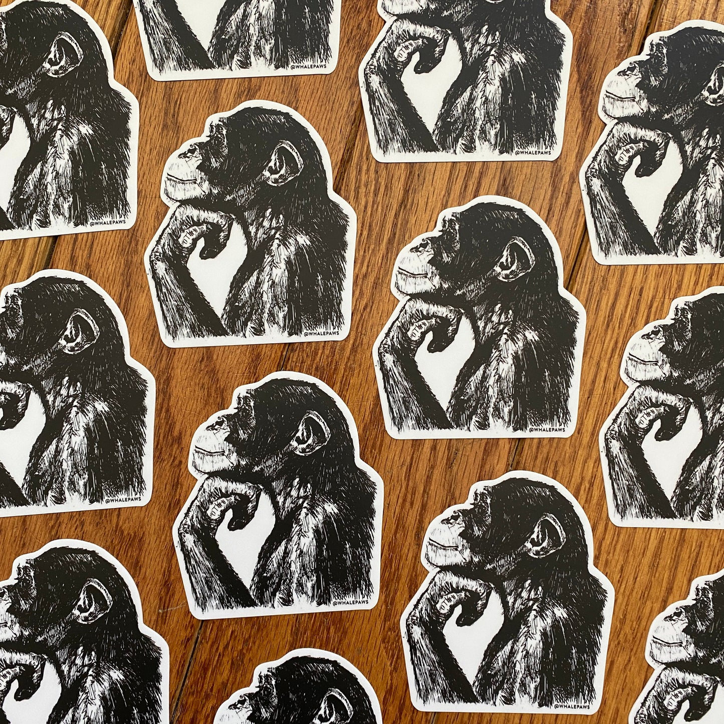 Chimpanzee Sticker