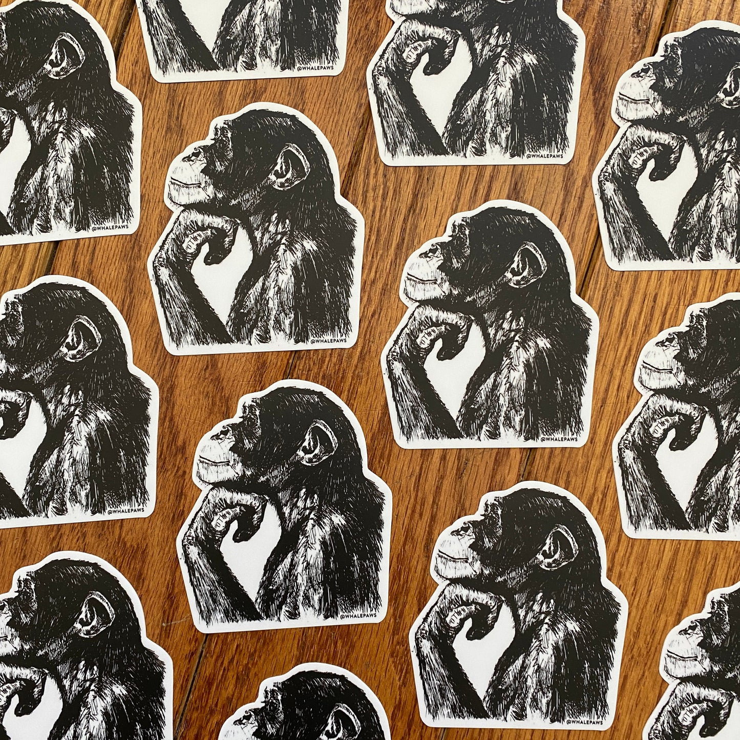 Chimpanzee Sticker • Laptop Sticker • Water Bottle • Vinyl Waterproof • Decal