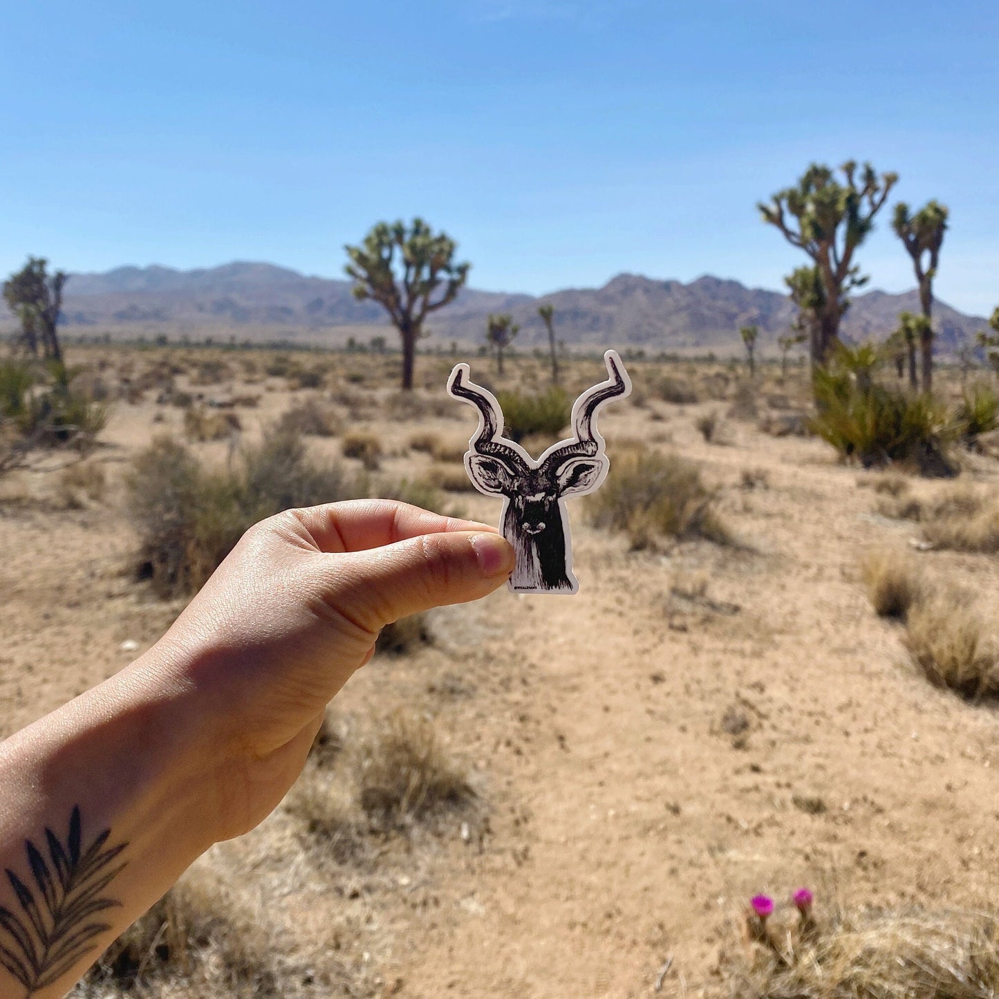 Kudu Sticker