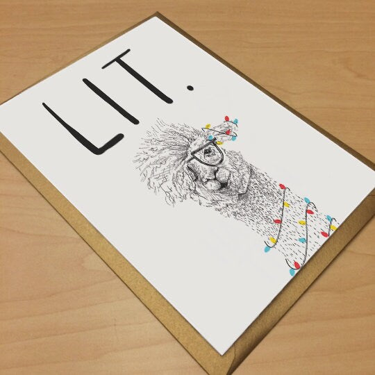 Lit Llama | Holiday Card