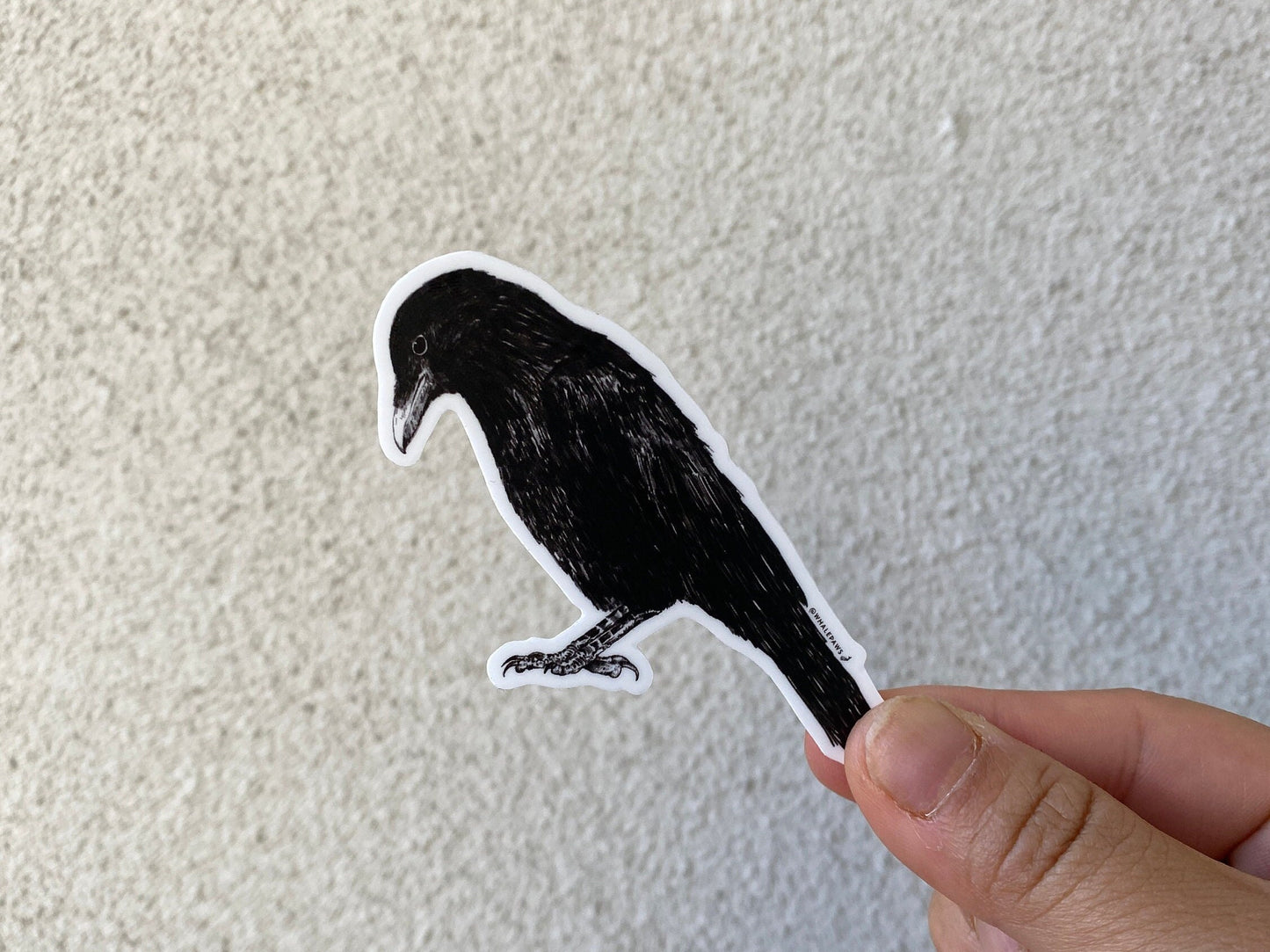 Raven Sticker