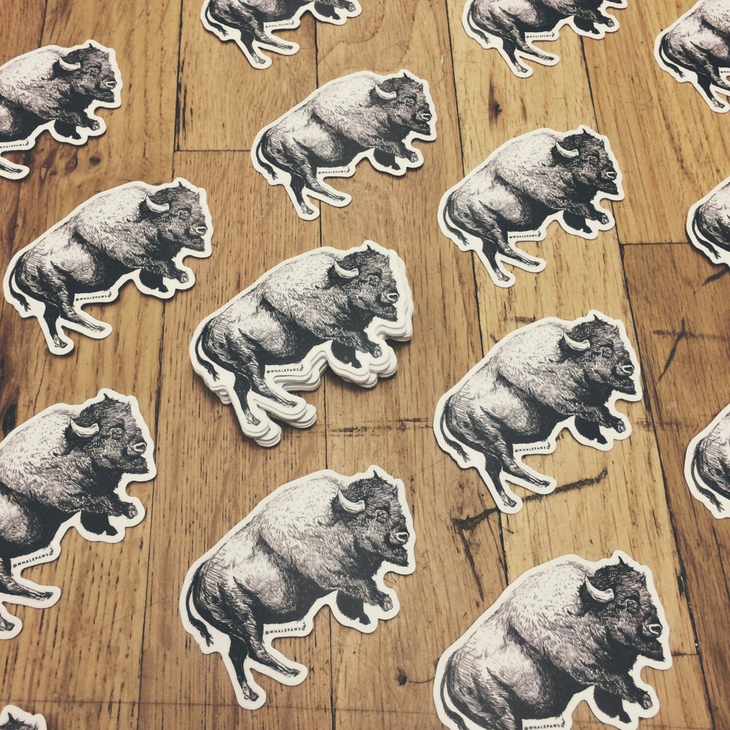 Bison Sticker